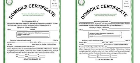 Punjab Raises Domicile Fee from Rs200 to Rs550