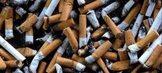 ACT Alliance Lauds FBR’s Enforcement Against Illegal Tobacco, Rejects NGOs Cigarette's Tax Increase Agenda