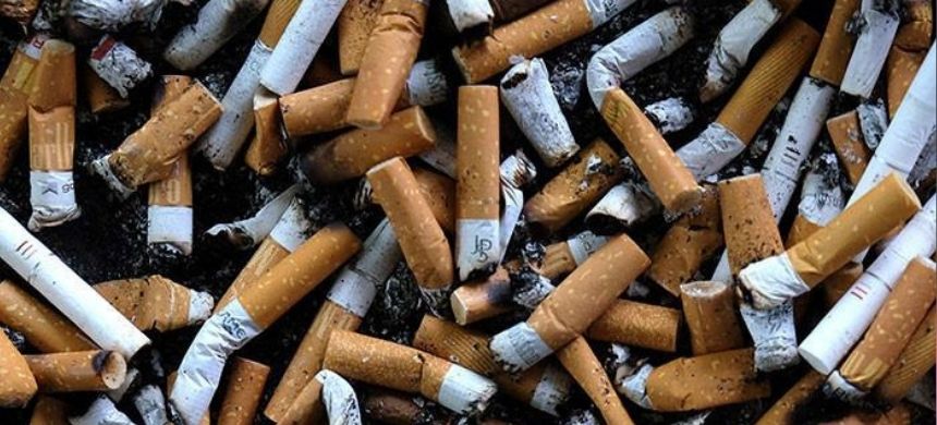 ACT Alliance Lauds FBR’s Enforcement Against Illegal Tobacco, Rejects NGOs Cigarette's Tax Increase Agenda