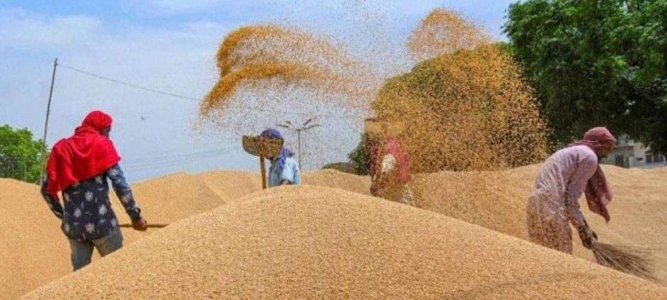 Big Decision From Federal Government Brings Unexpected Relief to Farmers