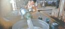 Dairy Farmers Seek Rs100 per Litre Milk Price Increase