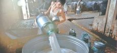 Dairy Farmers Seek Rs100 per Litre Milk Price Increase