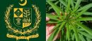 ECC Approves Rs100 Million Grant for Marijuana Control Authority Renovation
