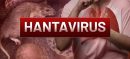 Hantavirus Explained: Symptoms, Transmission and Safety Measures