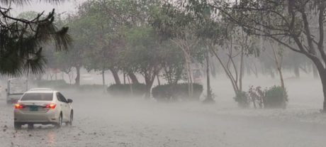 Heavy Rain, Thunderstorms Expected in Parts of Pakistan