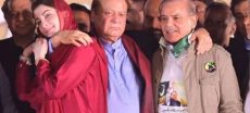 Is PML-N Govt Extending Tenure under 28th Amendment?