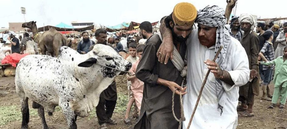 Official Qurbani Slaughter Rates Released for Eidul Azha