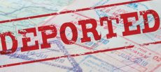 Over 164,000 Pakistanis Deported from Gulf Countries in Five Years