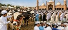 Pakistan Marks Eid ul Azha With Unity and Devotion