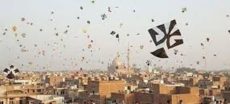 Punjab Govt Introduces New Safety Regulations for Basant