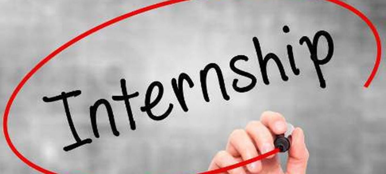 Punjab Launches Internship Program for PharmD Students and Graduates