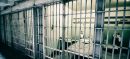 Punjab Releases Online Interview Schedule for Prison Department Jobs