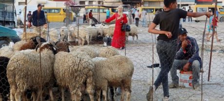 Six Holidays Expected on Eid ul Adha 2026: Check Details