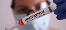 WHO Issues Global Warning over Rising Hantavirus Infections