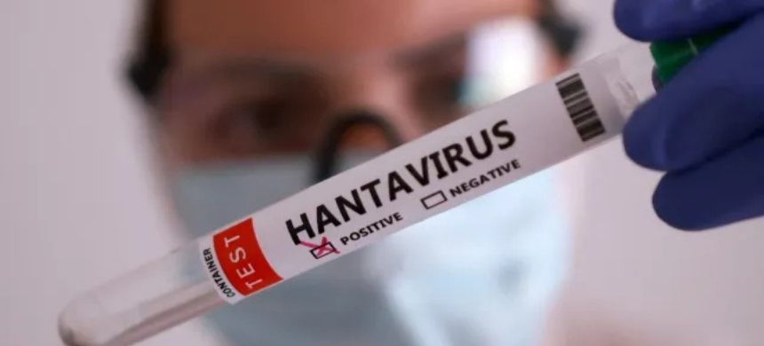 WHO Issues Global Warning over Rising Hantavirus Infections