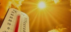 What Will Eidul Azha Weather Conditions likely Remain?