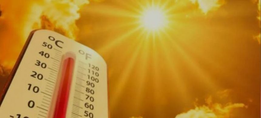 What Will Eidul Azha Weather Conditions likely Remain?