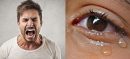 Anger or Tears: Which one actually regulates our emotions?