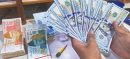 Foreign Exchange Reserves Show Mixed Trend in Pakistan Weekly Data