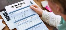 UAE Introduces Major Changes to Work Permit Rules