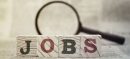 Looking for a Government Job 118 New Vacancies Have Just Been Announced