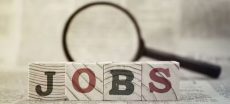 Looking for a Government Job 118 New Vacancies Have Just Been Announced