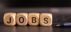 2,600 Jobs Announced by Punjab Urban Unit