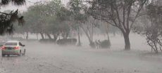 PMD Forecasts Rain and Hailstorms in Several Regions