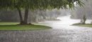 Pakistan to Receive Week-Long Monsoon Rains