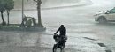 Punjab Weather Alert: PDMA Warns of Storms Until June 20