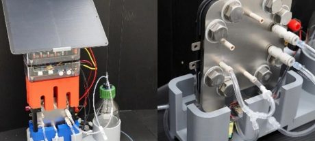 Researchers Develop Self-Regulating Photosynthesis Tech