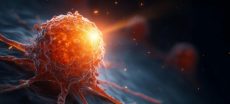 Scientists Turn Bacteria Into Cancer-Hunting Fighters