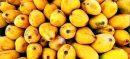 Sindh Secretariat Enforces Ban on Mango Crate Deliveries