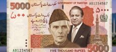 PML-N Lawmaker Seeks Nawaz Picture on Rs5,000 Note