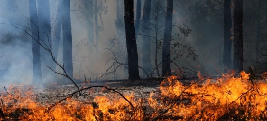 France and Spain Battle Deadly Wildfires Amid Extreme Heat