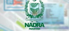 NADRA Announces Junior Executive Jobs With Walk-In Test