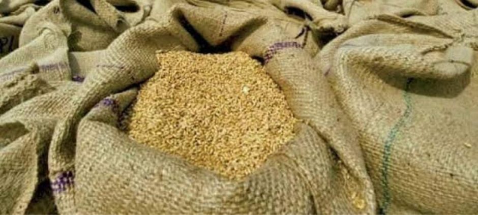 PFMA Warns of Flour Shortage Over Wheat Permit Suspension