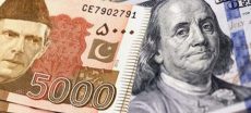 PKR Extends Winning Streak Against US Dollar to 204 Days