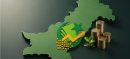 Pakistan Launches InvestPak Investment Portal