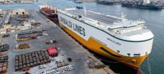 Pakistan Welcomes First RoRo Electric Vehicle Shipment