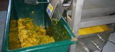 Punjab Food Authority Destroys 16,700kg of Rotten Mangoes at Juice Plant