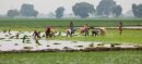 Punjab Launches Land Distribution Scheme for 30,000 Farming Families
