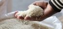Rice Exporters Get Major Relief - Check Details