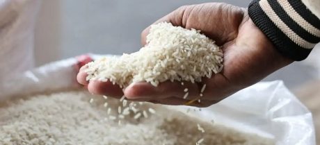 Rice Exporters Get Major Relief - Check Details