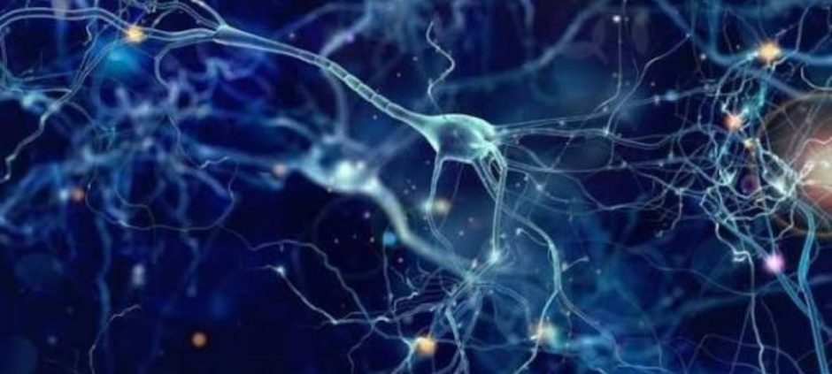 Scientists Discover New Cell Death Process Linked to Alzheimer's Disease (2)