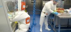 White House Revives COVID Lab Leak Theory, Targets Fauci