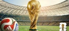 World Cup Final Set for Big-Screen Shows Across Sindh
