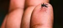Dengue Threat Emerges at PIMS MCH Facility