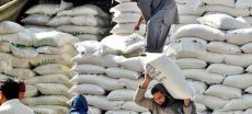 Flour Prices Rise by Up to Rs. 100 Across Pakistan
