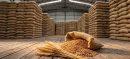 Govt Yet to Decide on 1 Million Ton Wheat Import